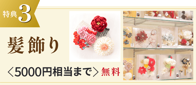 特典3 髪飾り <5000円相当まで>無料